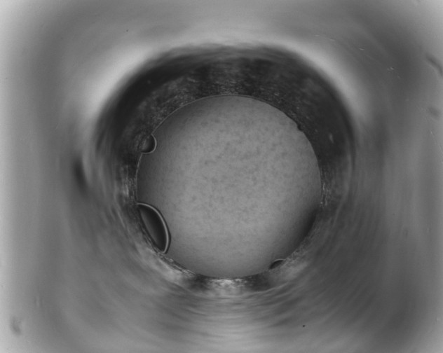 X0000100980239200807011450