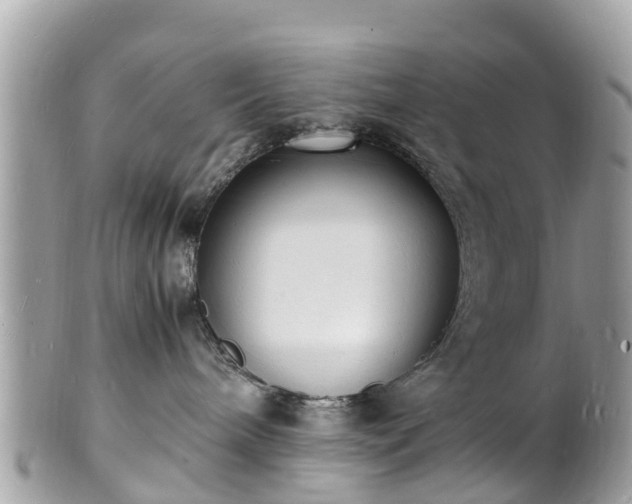 X0000100980240200807011450