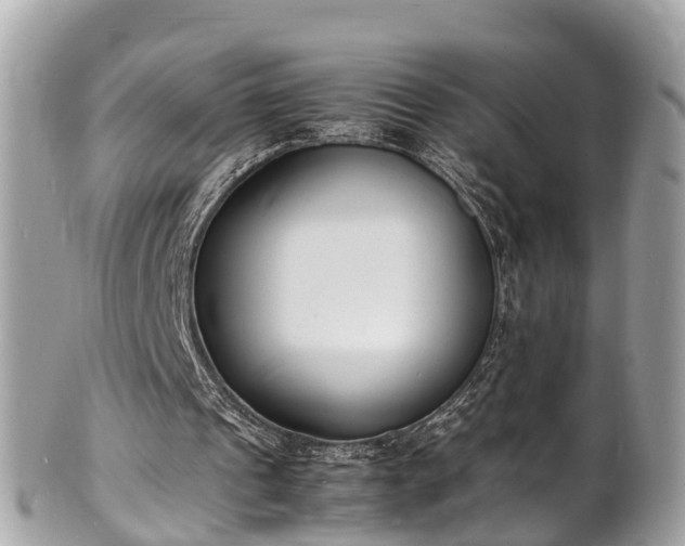 X0000100980241200807011450