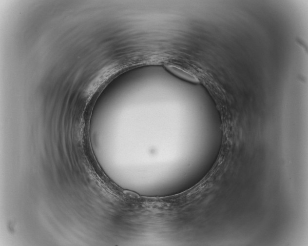 X0000100980242200807011450