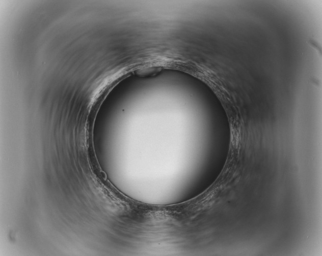 X0000100980244200807011450