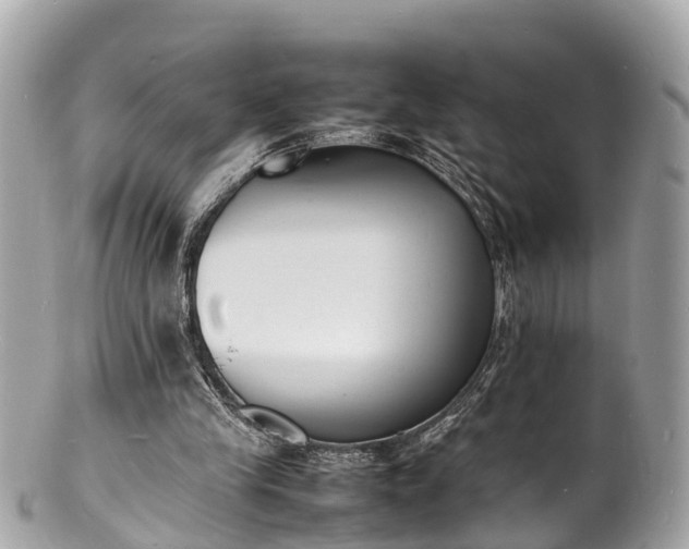 X0000100980245200807011450