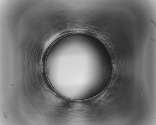 X0000100980246200807011450