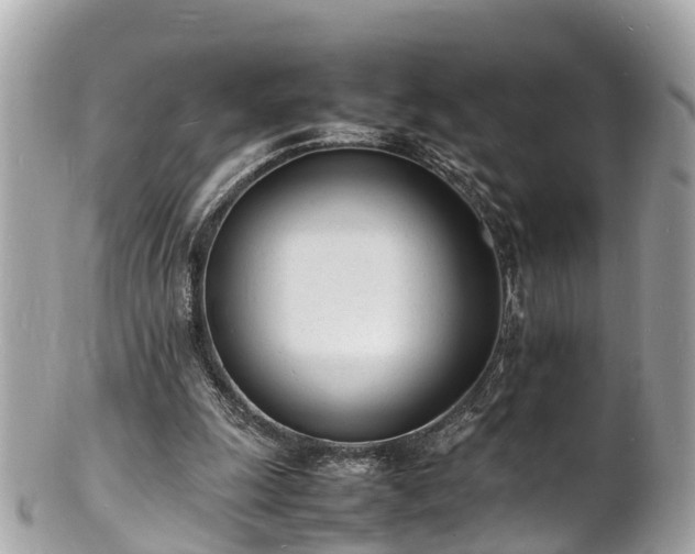 X0000100980247200807011450