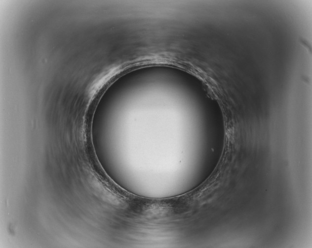 X0000100980248200807011450