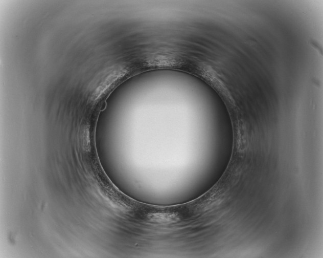 X0000100980251200807011450