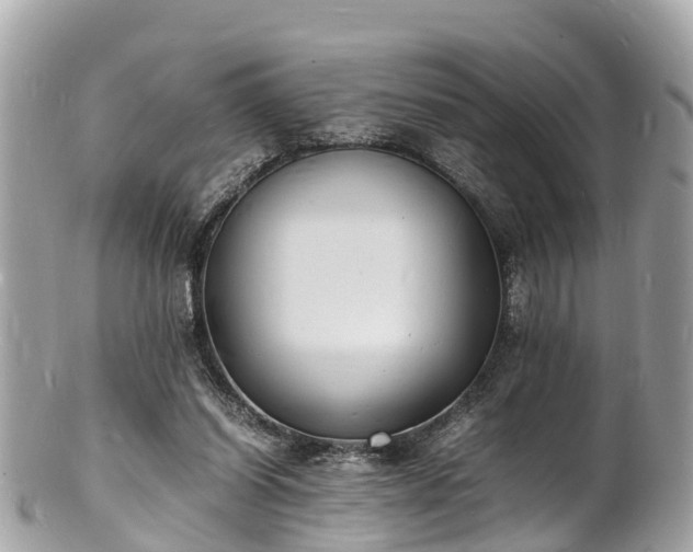 X0000100980254200807011450