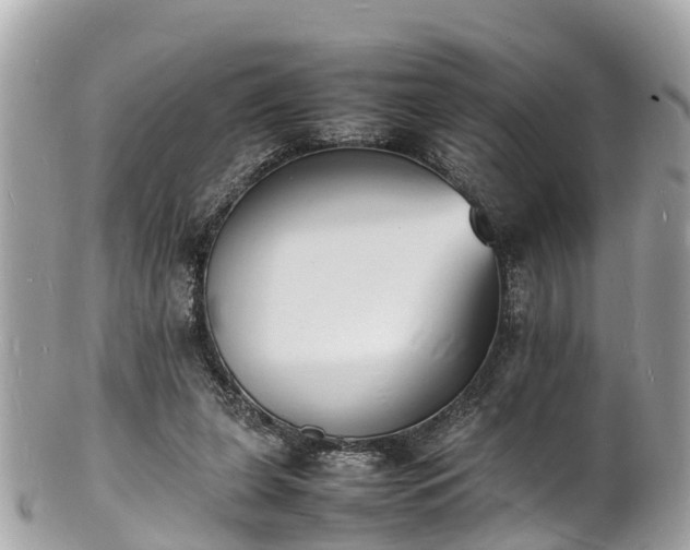 X0000100980255200807011450