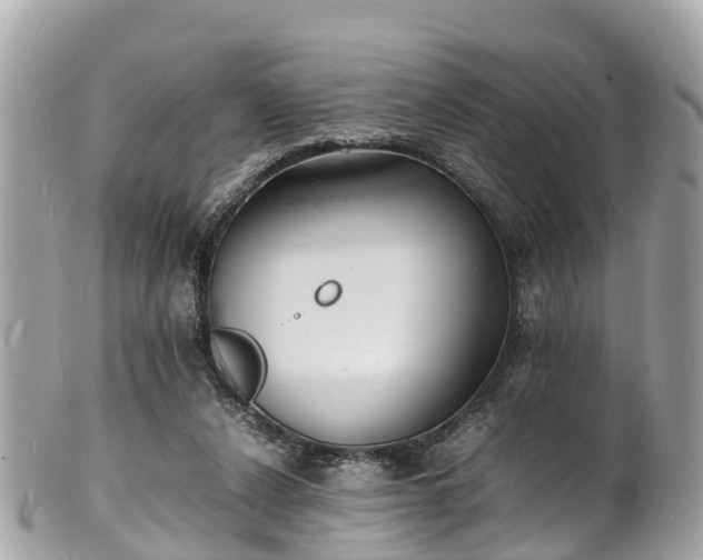 X0000100980256200807011450