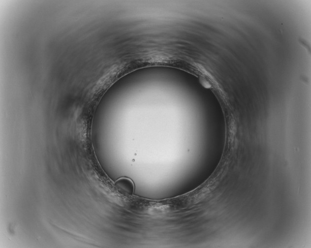 X0000100980257200807011450