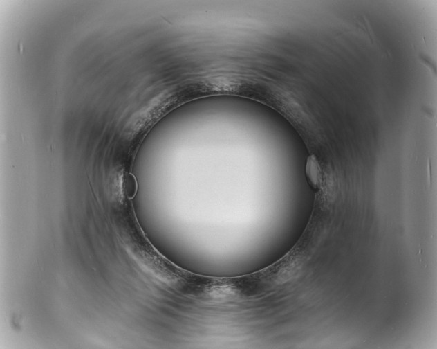 X0000100980262200807011450