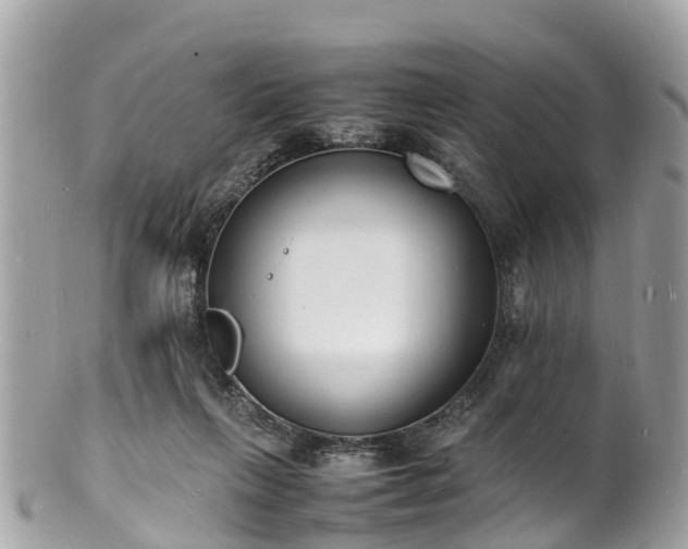 X0000100980263200807011450