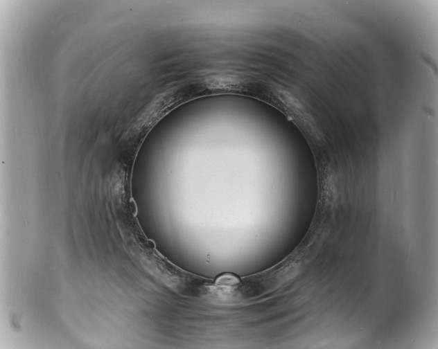 X0000100980265200807011450