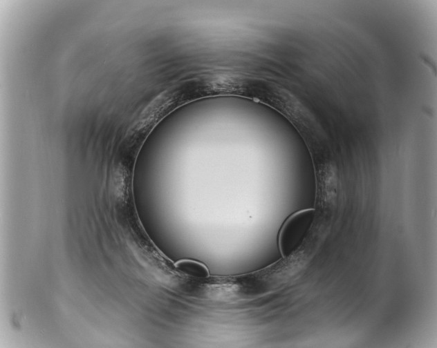 X0000100980266200807011450