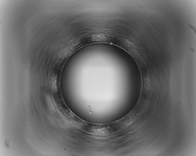 X0000100980267200807011450