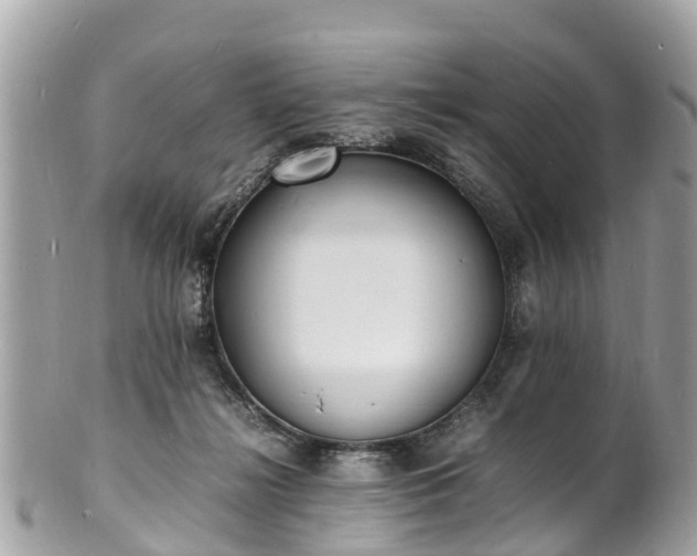 X0000100980268200807011450