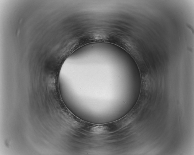 X0000100980269200807011450