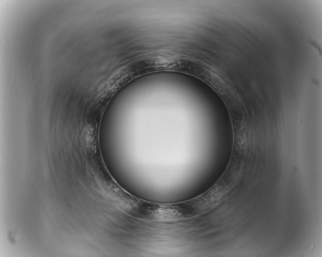 X0000100980270200807011450