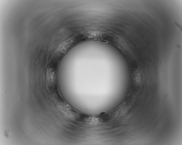 X0000100980276200807011450