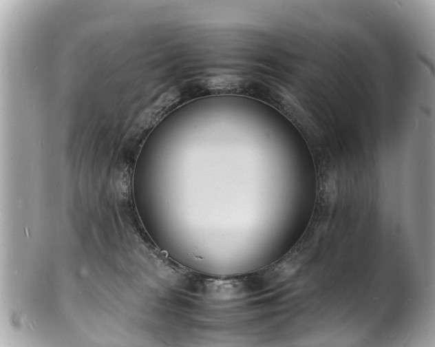 X0000100980277200807011450