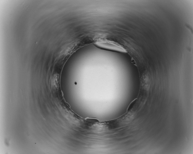 X0000100980280200807011450