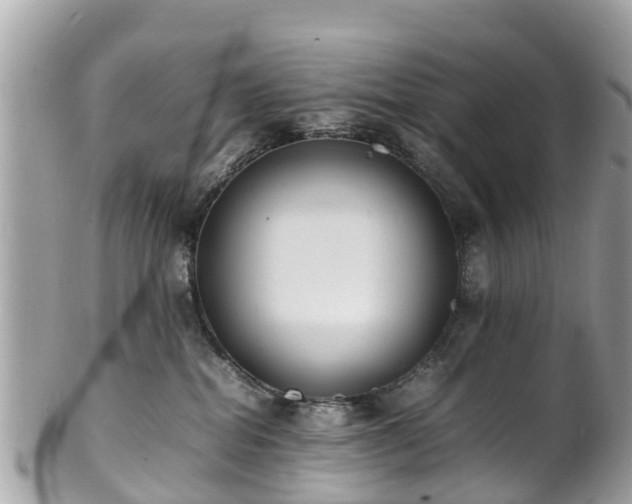 X0000100980282200807011450