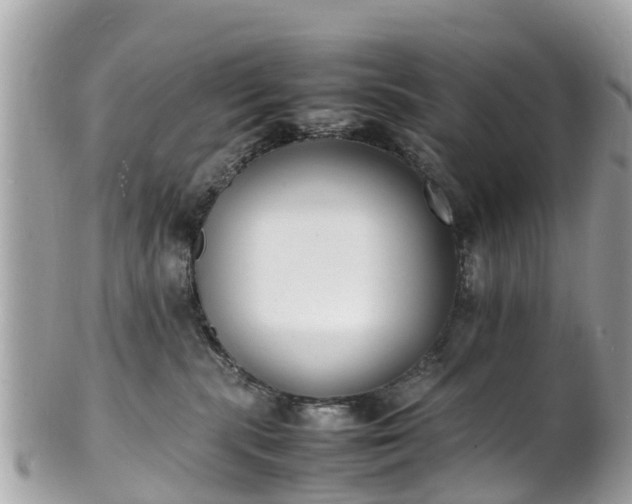 X0000100980283200807011450