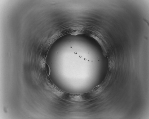 X0000100980285200807011450