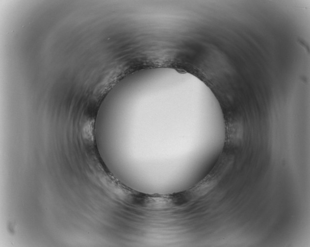 X0000100980286200807011450