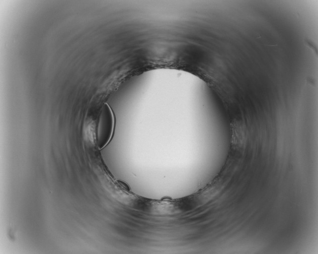 X0000100980287200807011450