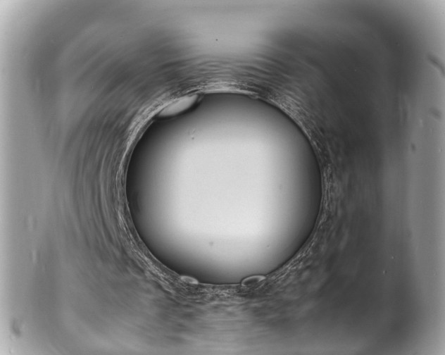 X0000100980289200807011449