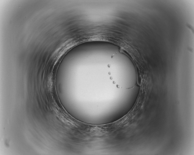 X0000100980290200807011449