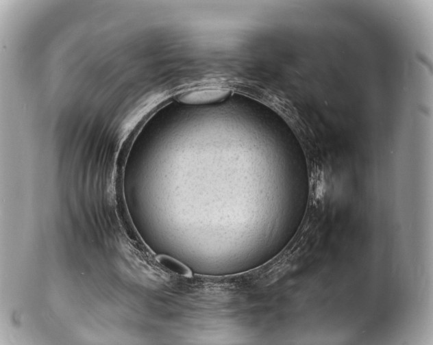 X0000100980292200807011449