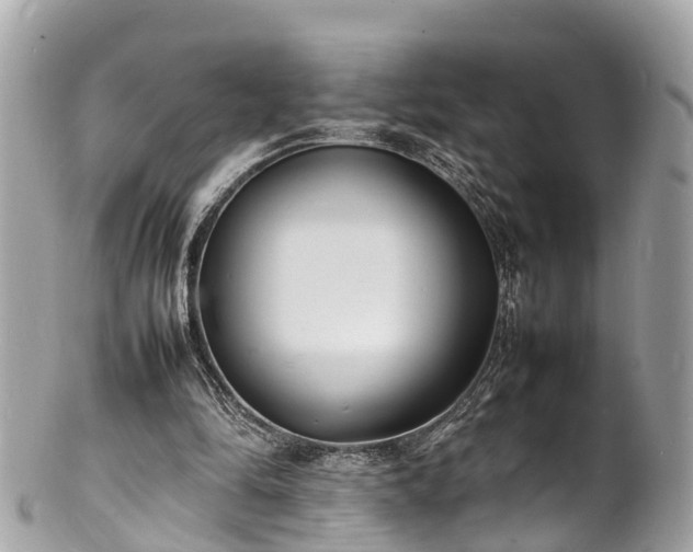 X0000100980294200807011449