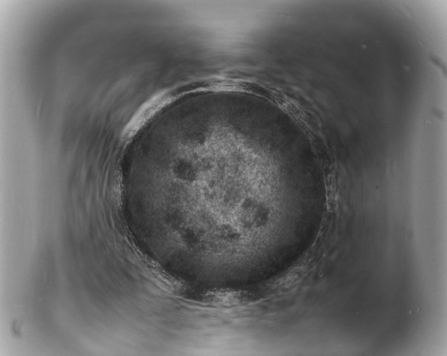 X0000100980295200807011449