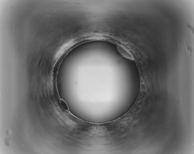 X0000100980296200807011449