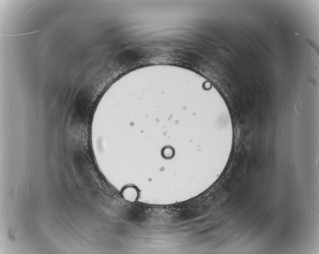 X0000100980297200807011449