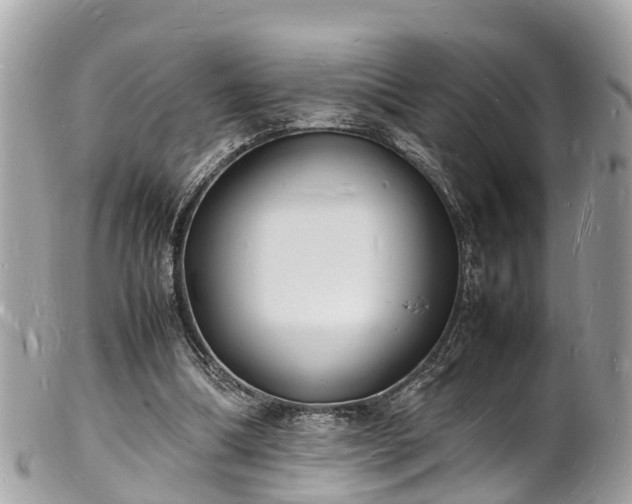 X0000100980298200807011449