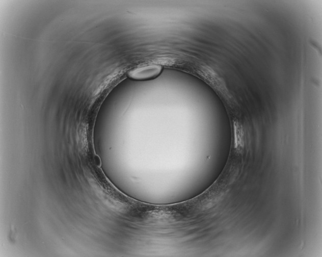 X0000100980300200807011449