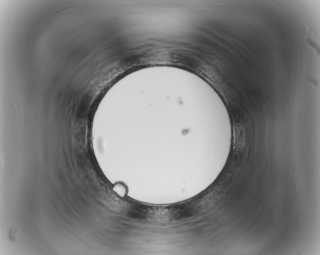 X0000100980301200807011449