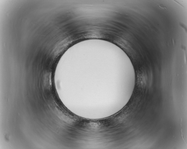 X0000100980302200807011449