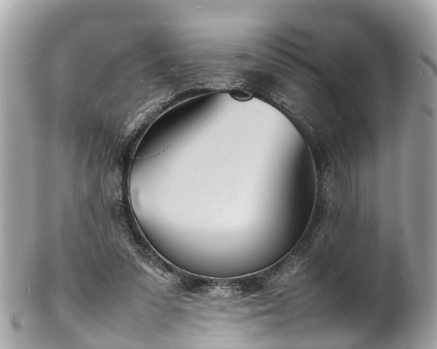 X0000100980303200807011449