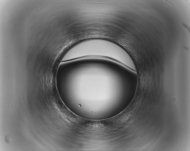 X0000100980304200807011449