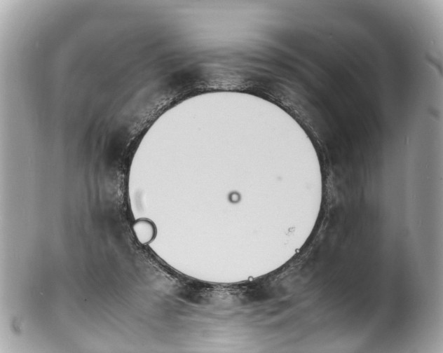 X0000100980305200807011449