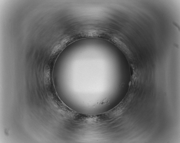 X0000100980306200807011449