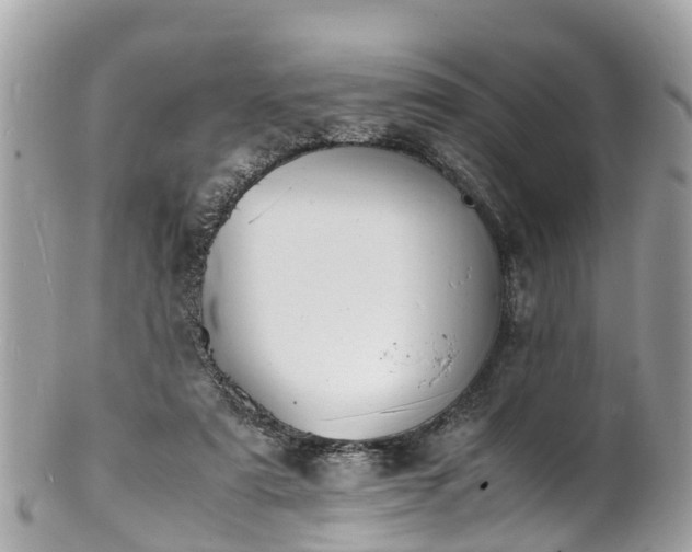 X0000100980307200807011449