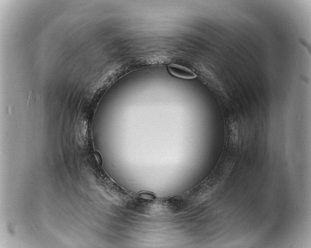 X0000100980308200807011449