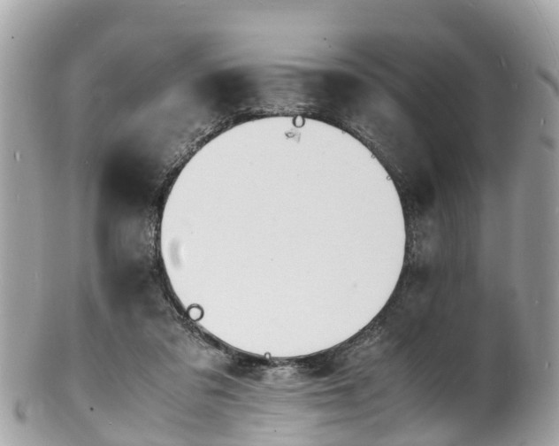 X0000100980309200807011449