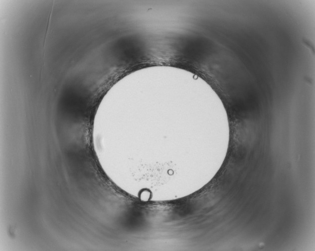 X0000100980313200807011449