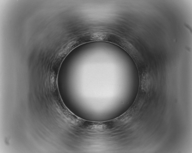 X0000100980314200807011449